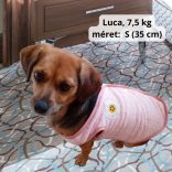 Puha plüss kutya mellény, rózsaszín (XS-S/M, 30-40 cm)