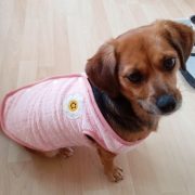 Soft Fleece Dog Vest Pink ( XS-S/M, 30-40 cm)