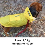 Classic Yellow  Dog Raincoat (XS-XXXL, 30-76 cm)