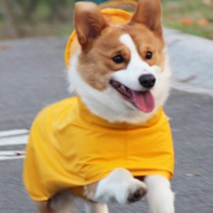 Yellow Dog Raincoat (XXS-XL, 26-70 cm)