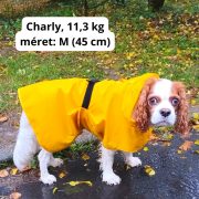 Yellow Dog Raincoat (XXS-XL, 26-70 cm)