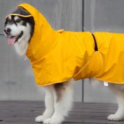 Yellow Dog Raincoat (XXS-XL, 26-70 cm)