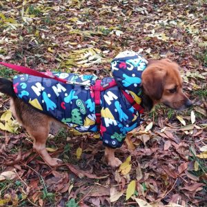 Cartoon Dog Jacket (XS-S/M,  29-38 cm)