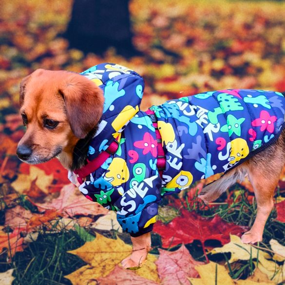 Cartoon Dog Jacket (XS-S/M,  29-38 cm)