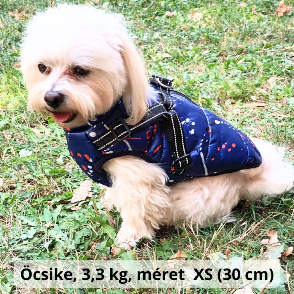 Waterproof Dog Vest with Harness, Blue  (XS-S/M, 30-40 cm)