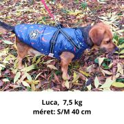 Waterproof Dog Vest with Harness, Blue  (XS-S/M, 30-40 cm)