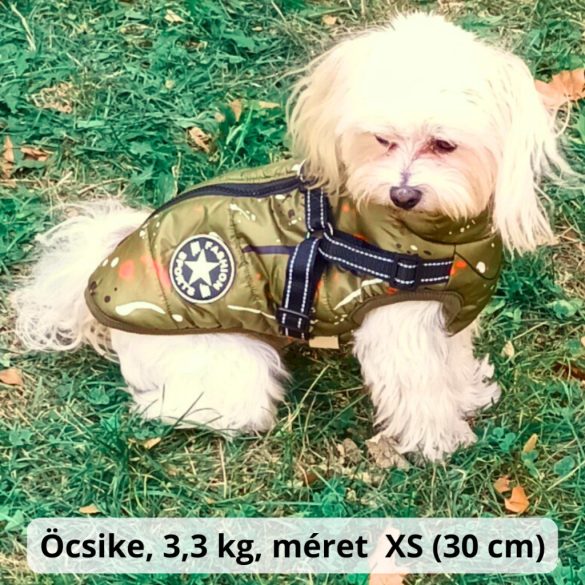 Zöld kutya kabát hámmal (XS-S/M, 30-40 CM)