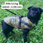 Waterproof Dog Vest with Harness, Green (XS-S/M, 30-40 cm)
