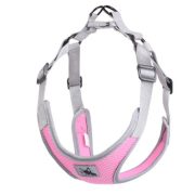 Light pink harness (XS-S/M, 33-50 cm)