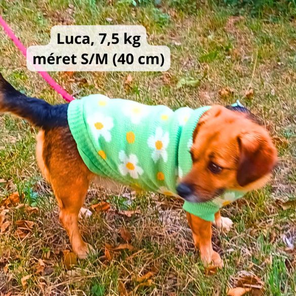 Virágos pulóver kutyáknak (XS-S/M,  30-40 cm)