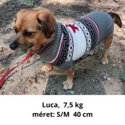Norvégmintás kutya pulóver (XS-S/M, 30-40 cm)