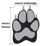 Winter Dog Shoes (Size 0-1-2-3-4)