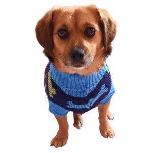 Coloured Bones Dog Sweater (XS-M 28-45 cm )