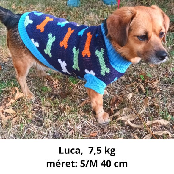 Coloured Bones Dog Sweater (XS-M 28-45 cm )