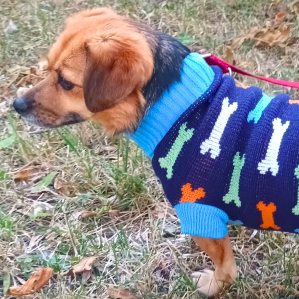 Coloured Bones Dog Sweater (XS-M 28-45 cm )