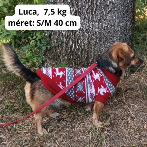 Klasszikus mintás kutya pulóver (XS-XL,  30-75 cm)