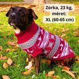Klasszikus mintás kutya pulóver (XS-XL,  30-75 cm)