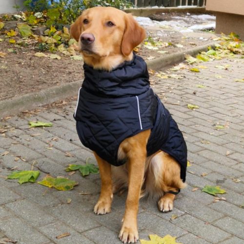 Warm Black Waterproof Dog Jacket (66-86 cm)