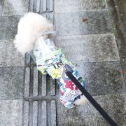 Kutya eső overál hámmal (30-45 cm)