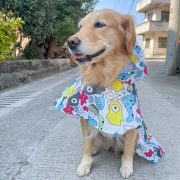 Dog Hoody Raincoat Cape (XS-XXL, 30-75 cm)