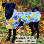 Dog Hoody Raincoat Cape (XS-XXL, 30-75 cm)