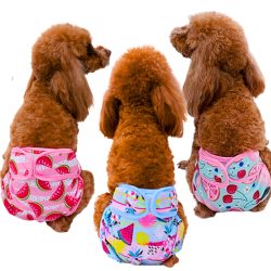 Sanitary Pants for Dogs with Fruits