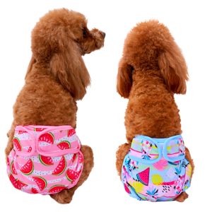 Sanitary Pants for Dogs with Fruits