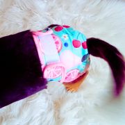Sanitary Pants for Dogs with Fruits