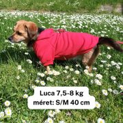 Dog Hoody Red Small and Big Dogs ( XS- 4XL, 30-75 cm)