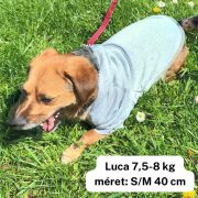 Dog Hoody Grey for Small Dogs and Big Dogs (XS-4 XL, 30-75 cm)