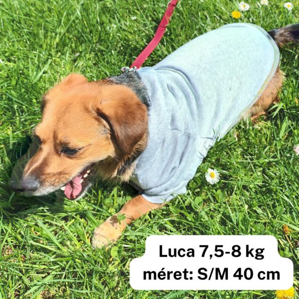 Dog Hoody Grey for Small Dogs and Big Dogs (XS-4 XL, 30-75 cm)