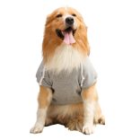 Dog Hoody Grey for Small Dogs and Big Dogs (XS-4 XL, 30-75 cm)