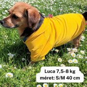 Dog Pullover Hoody Yellow (30-75 cm, XS-4XL)