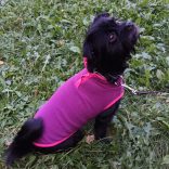 Fleece Dog Vest Purple ( XS-S/M, 30-40 cm)