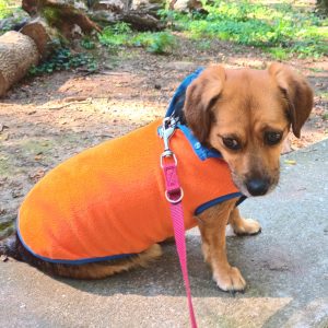 Orange Fleece Dog Pullover (30-40 cm, XS-S/M)