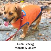 Orange Fleece Dog Pullover (30-40 cm, XS-S/M)