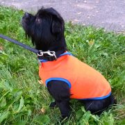 Orange Fleece Dog Pullover (30-40 cm, XS-S/M)