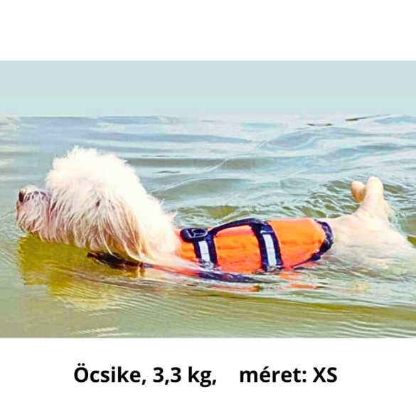 Kutya mentőmellény