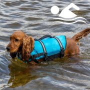 Dog Lifevest