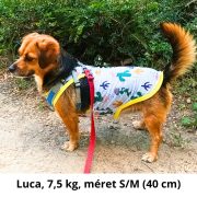 Napvédő póló kistermetű kutyáknak (25-45 cm, XXS-M)
