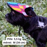 Caps for Dogs (S-XL)