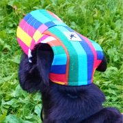 Caps for Dogs (S-XL)