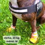 Téli kutyacipő közepes és nagy kutyáknak (XS-XXL, 6-10 cm mancshossz )