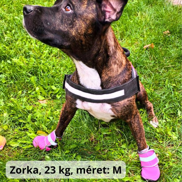 Téli kutyacipő közepes és nagy kutyáknak (XS-XXL, 6-10 cm mancshossz )