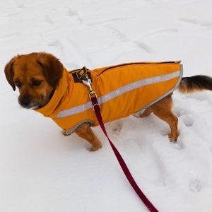 Warm Winter Coat for Dogs (M-XXL, 40-70 cm)