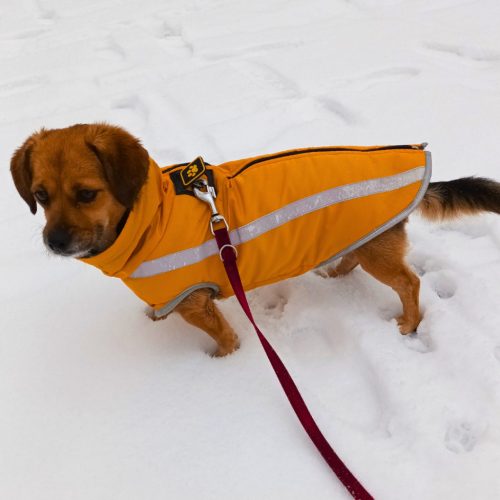 Warm Winter Coat for Dogs (M-XXL, 45-70 cm)