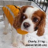 Warm Winter Coat for Dogs (M-XXL, 40-70 cm)