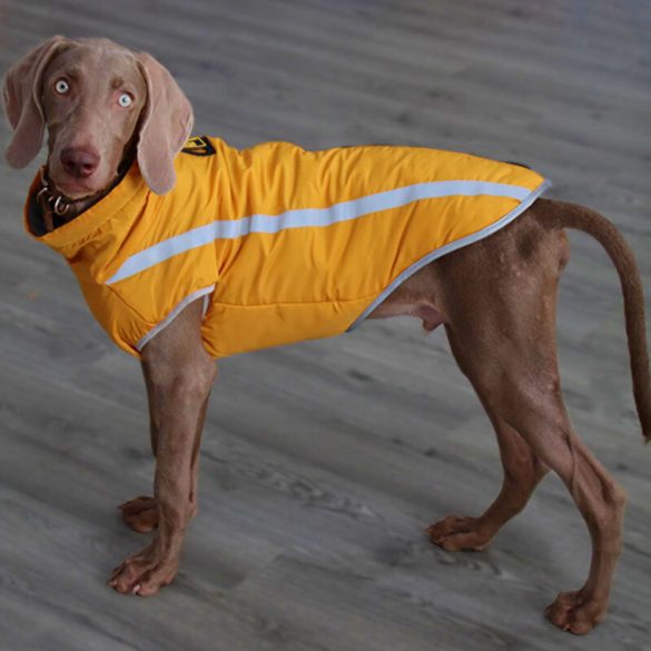Warm Winter Coat for Dogs (M-XXL, 40-70 cm)