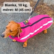 Hátán cipzáros meleg kutyakabát (M-XXL, 40-70 cm)