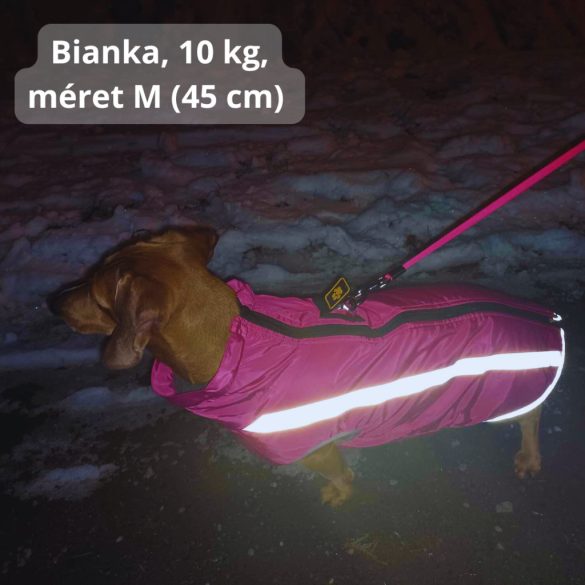 Warm Winter Coat for Dogs (M-XXL, 40-70 cm)